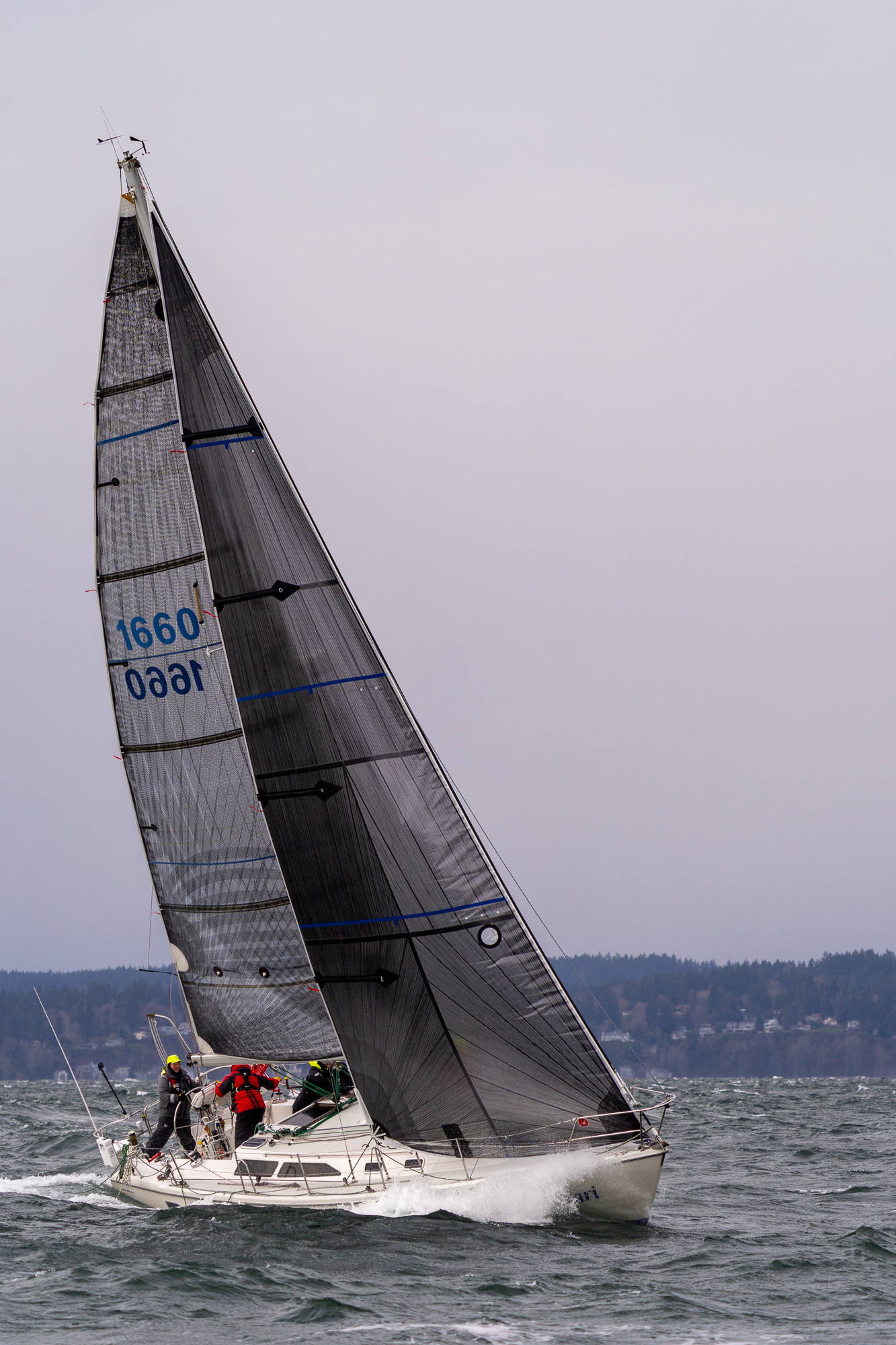 A sporty day on the water for Snowbird Series Race 4 48° North