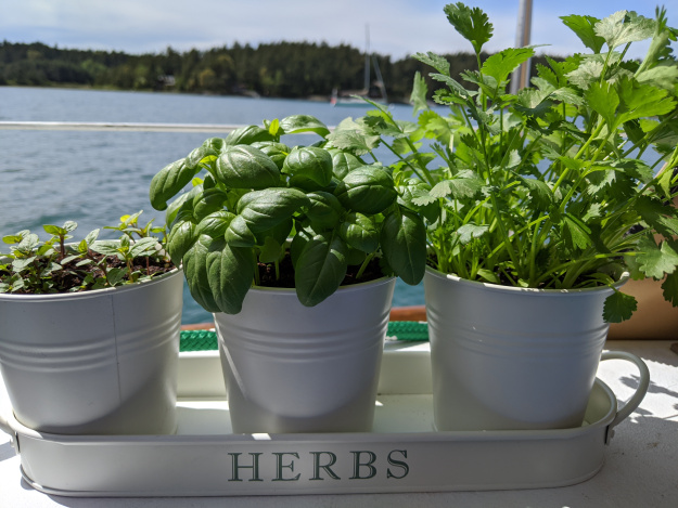 How to Grow an Herb Garden on a Boat 48° North