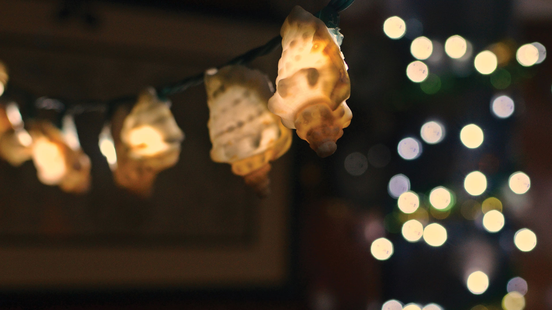 HOME FOR THE HOLIDAYS | 48° North - Vimarsana News