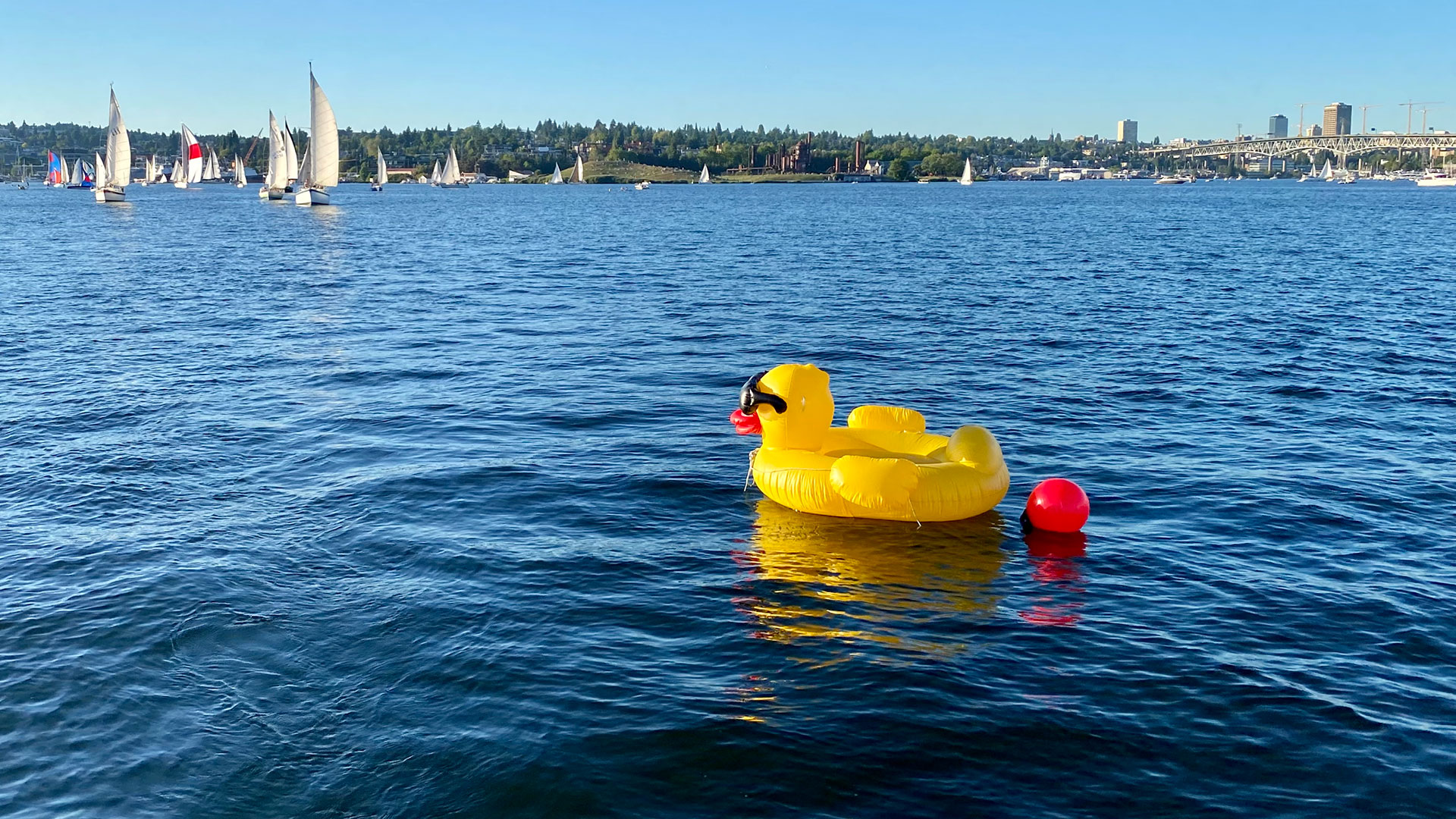 The Duck Still Floats — One Sailor's Return to Wonderful Duck Dodge