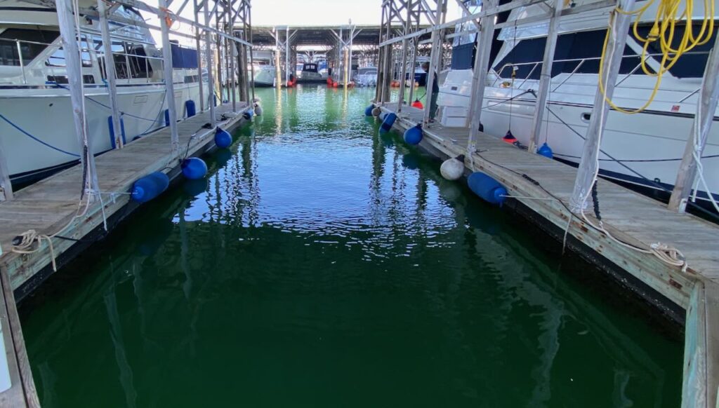 Covered Boat Slip for sale in Anacortes for 50ft Boat 48° North