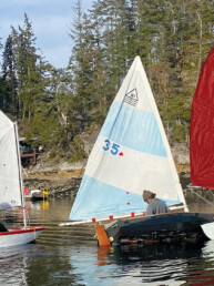 rs 21 sailboat price