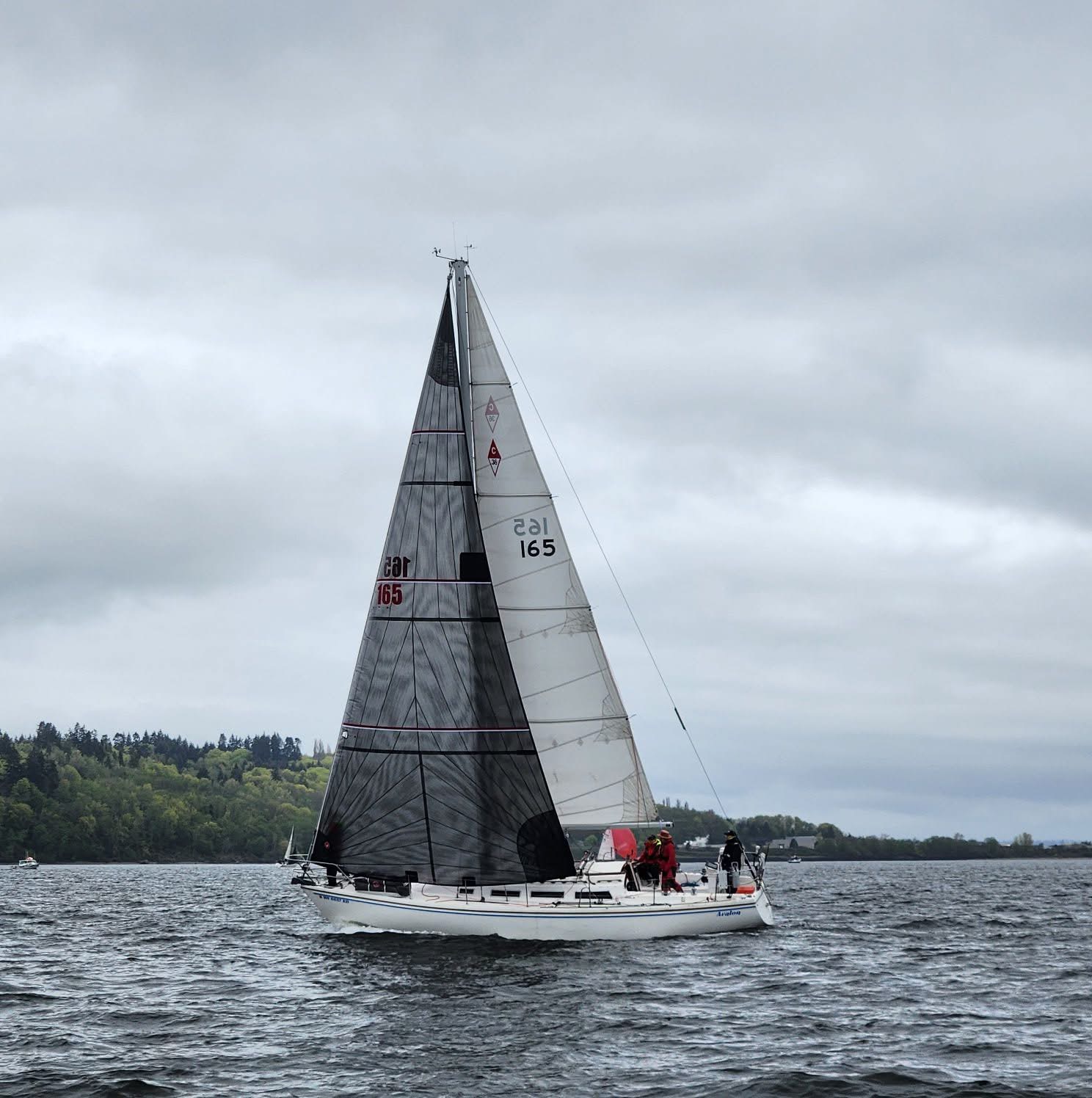 STYC Blakely Rock Benefit Race: Good Fun for a Good Cause