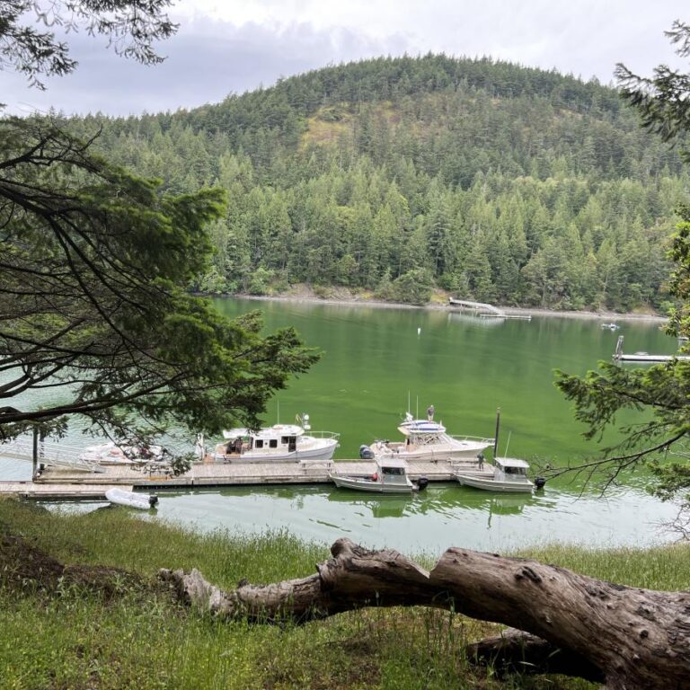 Fall Construction Begins in San Juan Islands’ Marine Parks